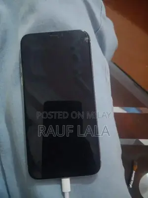 iPhone X with Minor Panel Damage - 64GB PTA Approved