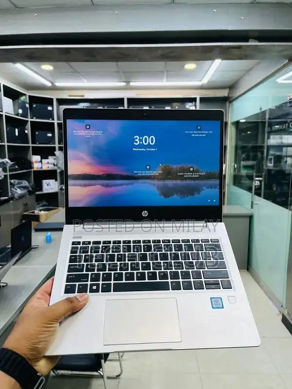 HP ProBook 430 G6 Business Laptop, Core i5, 8GB RAM, 256GB SSD