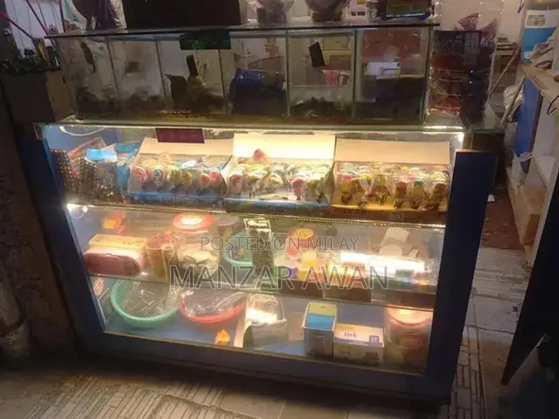 Commercial Display Showcase for Retail Stores and Shops