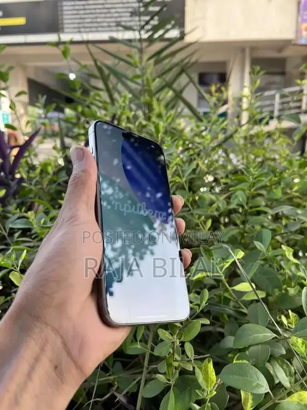 High-End Smartphone Pro Max Edition 256GB