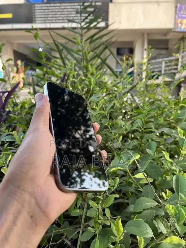 High-End Smartphone Pro Max Edition 256GB