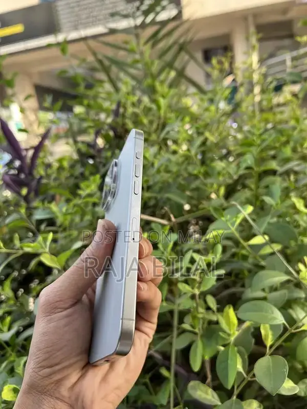 High-End Smartphone Pro Max Edition 256GB