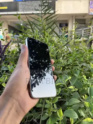 High-End Smartphone Pro Max Edition 256GB