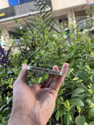 High-End Smartphone Pro Max Edition 256GB