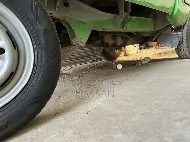 Suzuki Ravi Green Pickup Truck Punjab Edition