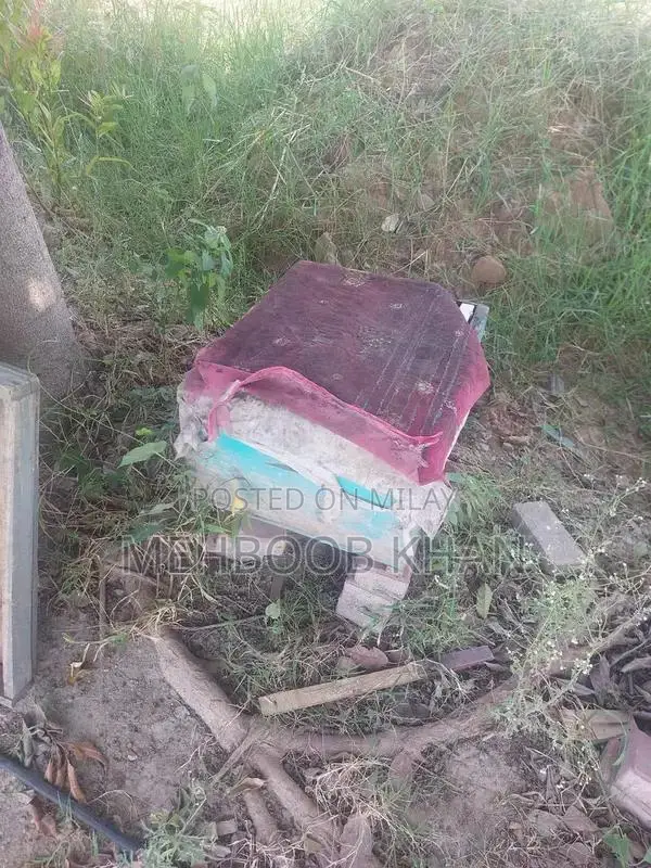 Healthy Honey Bee Colony in 4 Brood Boxes - Ready for Beekeeping