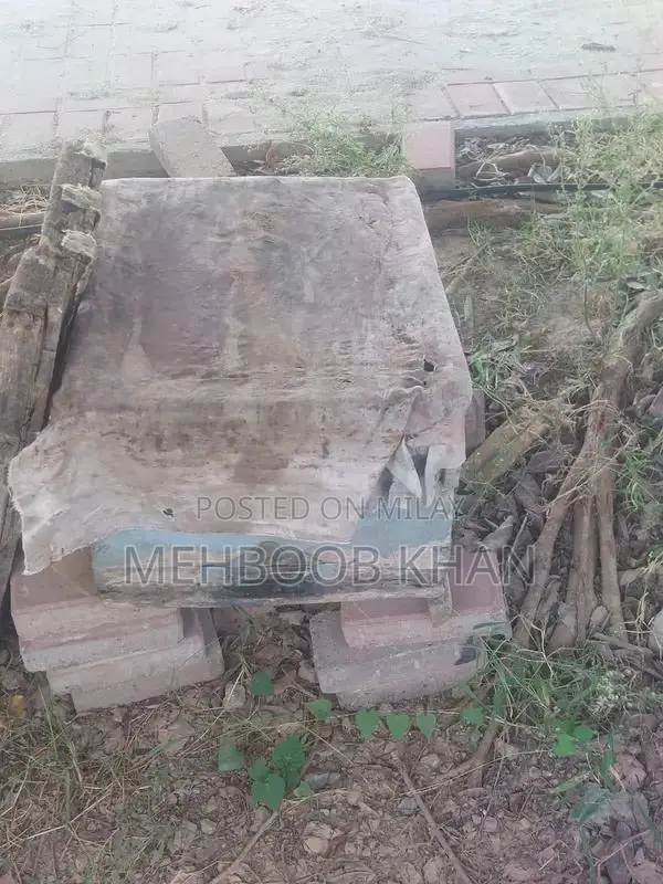 Healthy Honey Bee Colony in 4 Brood Boxes - Ready for Beekeeping