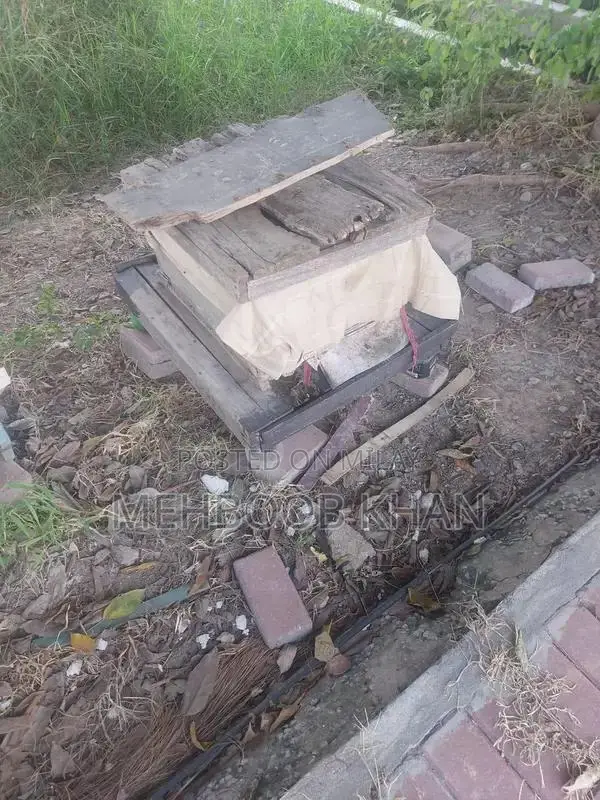 Healthy Honey Bee Colony in 4 Brood Boxes - Ready for Beekeeping