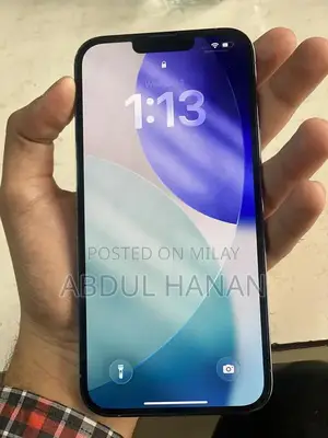 Pro Max 256GB Smartphone with Original Box