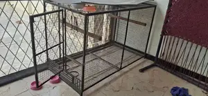 Photo - Iron Parrot/Hen Cage - Sturdy Metal Poultry Housing