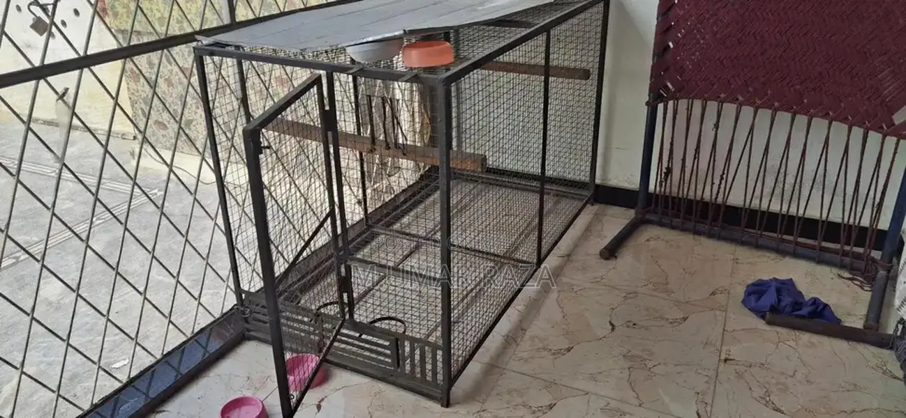 Iron Parrot/Hen Cage - Sturdy Metal Poultry Housing
