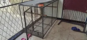 Iron Parrot/Hen Cage - Sturdy Metal Poultry Housing