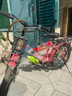 Cycle New Bicycle - Versatile and Unused Ride