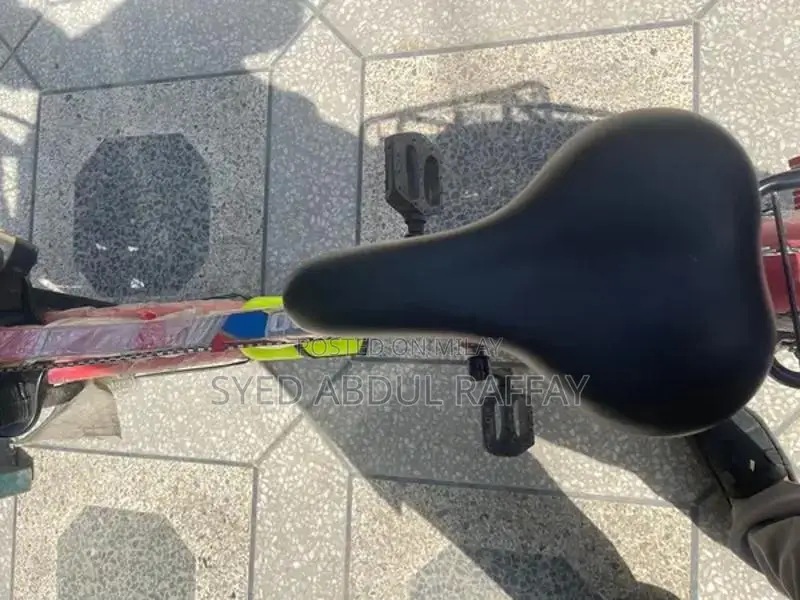 Cycle New Bicycle - Versatile and Unused Ride