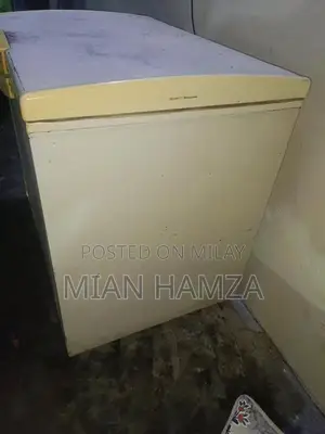 Waves Single Door Deep Freezer - Excellent Condition