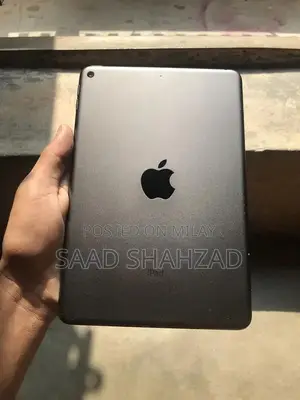 Apple iPad Mini 5 Tablet - High Performance Compact Device