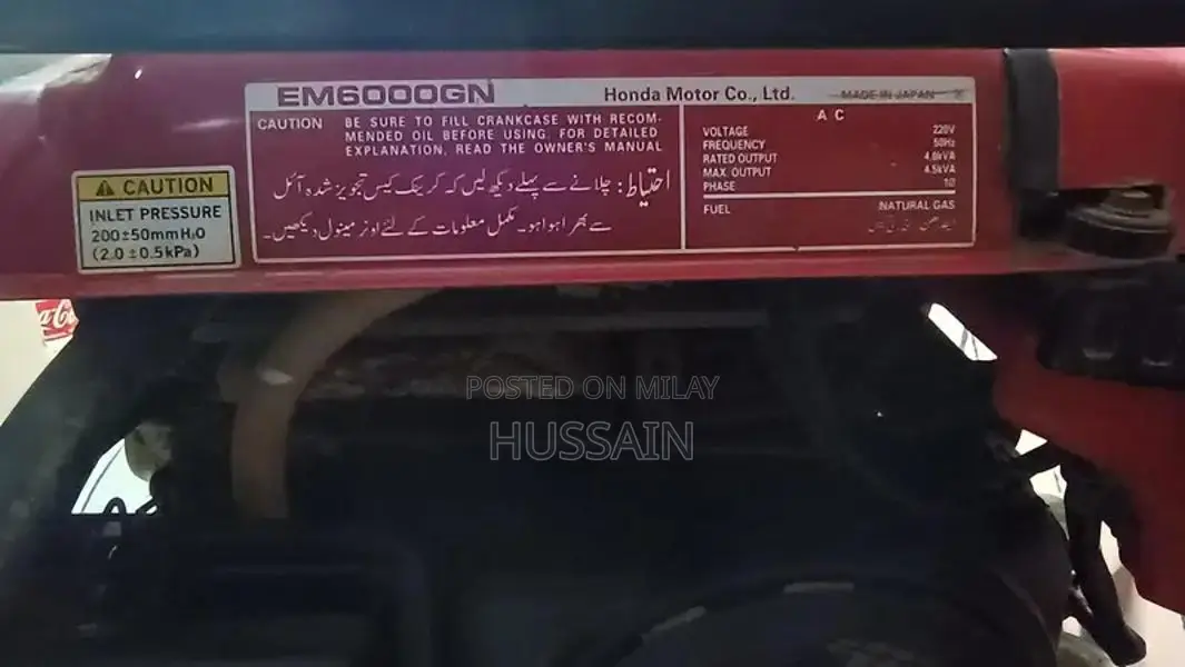 Honda EM6000GN Professional Natural Gas Generator