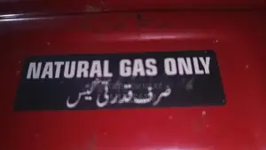 Honda EM6000GN Professional Natural Gas Generator