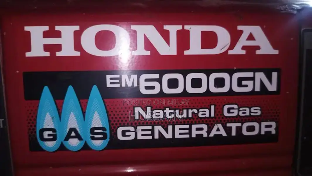 Honda EM6000GN Professional Natural Gas Generator
