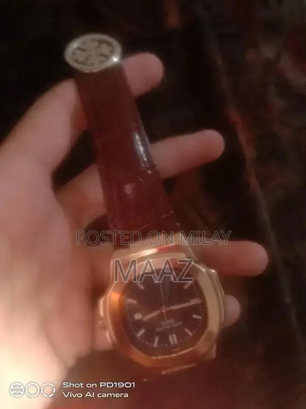 Patek Philippe Geneve Luxury Men's Automatic Leather Watch