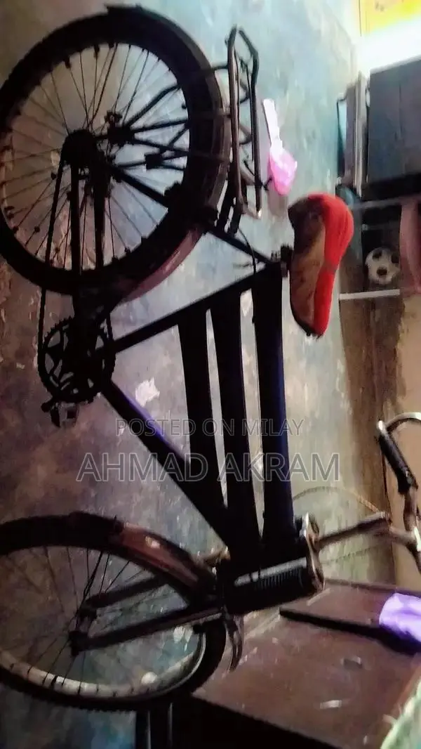 Versatile Bicycle - Perfect for Urban Commuting and Leisure Rides