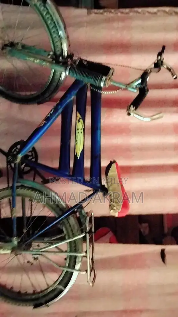 Versatile Bicycle - Perfect for Urban Commuting and Leisure Rides