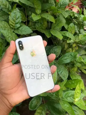 PTA Approved iPhone X 256GB Smartphone with Face ID