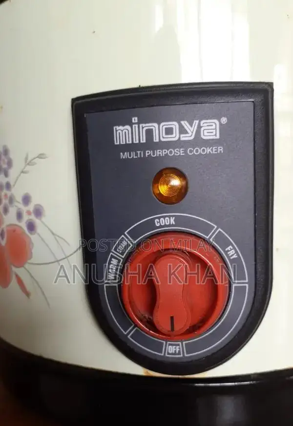 Multi-Purpose Deep Fryer with Cooking Functions