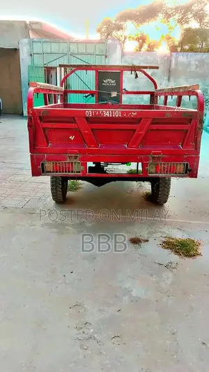 2022 Asia Rickshaw Urban Transport Vehicle