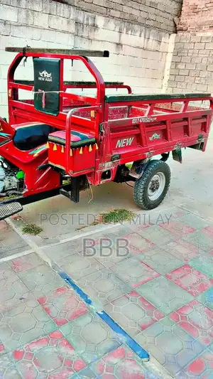 2022 Asia Rickshaw Urban Transport Vehicle