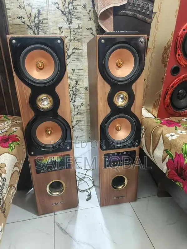 Audionic Portable Wireless Speaker