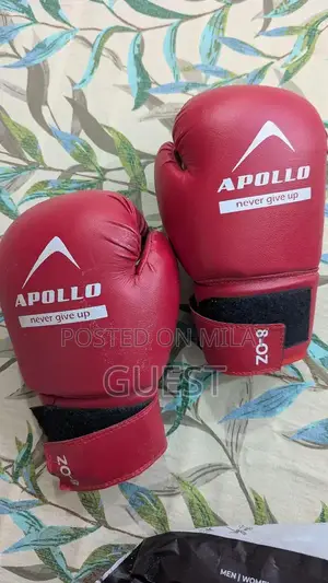 Photo - Apollo Heavy Duty Boxing Bag Set with Gloves and Wall Mount