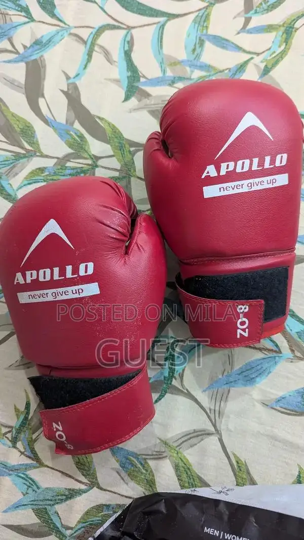 Apollo Heavy Duty Boxing Bag Set with Gloves and Wall Mount