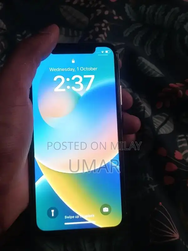 Apple iPhone X Factory Unlocked Smartphone 256GB Storage