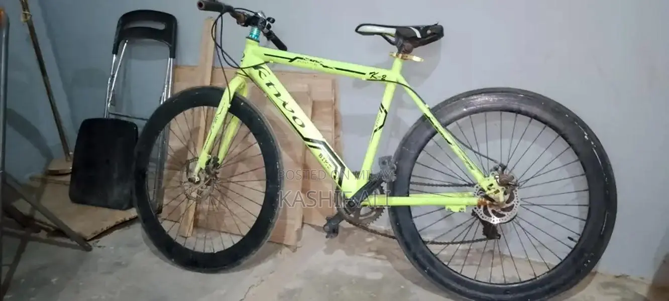 Outdoor Play Equipment and Recreational Toys