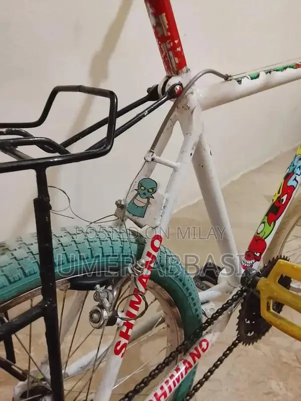 Phoenix White Bicycle - New Condition with Working Gears and Brakes