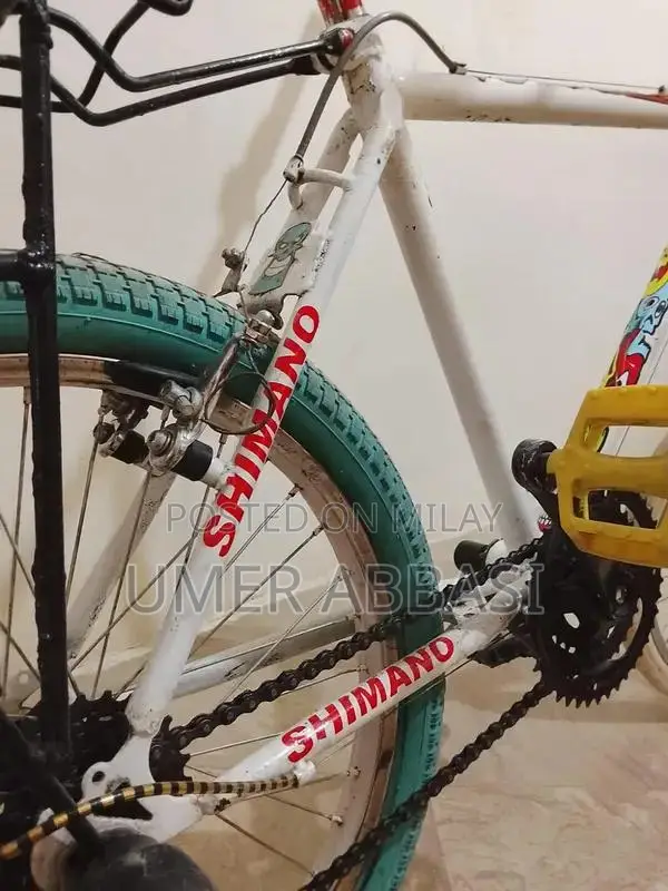 Phoenix White Bicycle - New Condition with Working Gears and Brakes