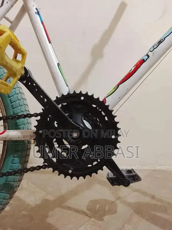 Phoenix White Bicycle - New Condition with Working Gears and Brakes