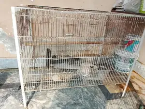 Photo - Quality Parrot Cage with Removable Tray