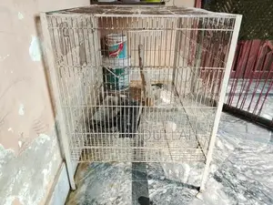 Quality Parrot Cage with Removable Tray