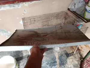 Quality Parrot Cage with Removable Tray