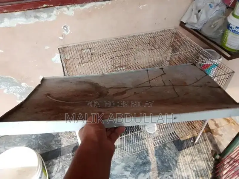 Quality Parrot Cage with Removable Tray