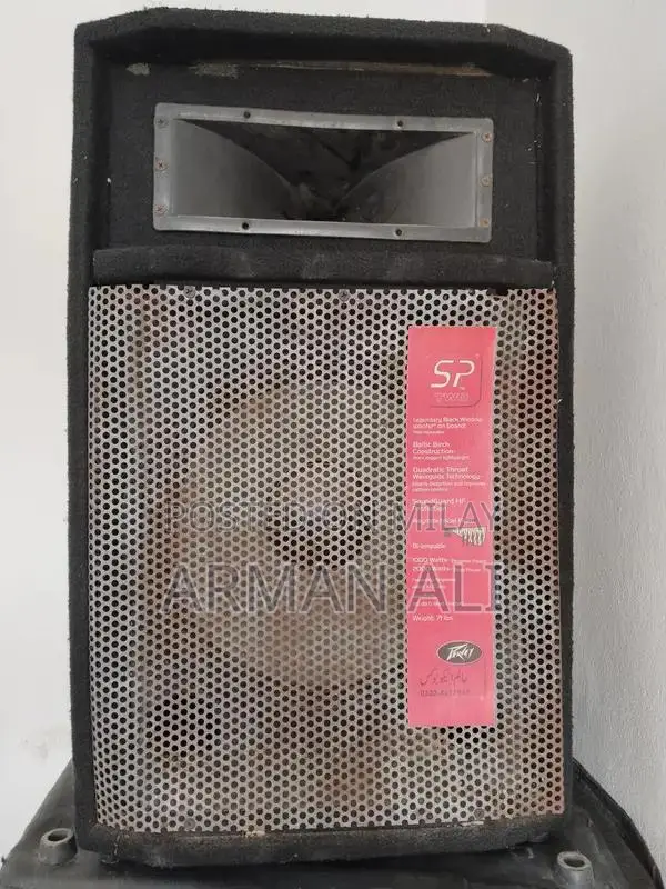 Pear P Audio Speaker for Events and Venues