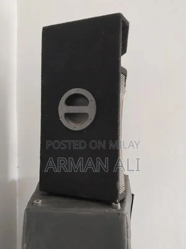 Pear P Audio Speaker for Events and Venues