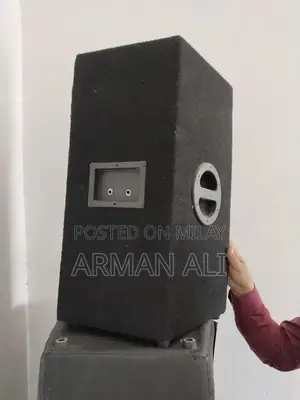 Pear P Audio Speaker for Events and Venues