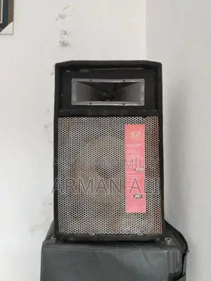 Pear P Audio Speaker for Events and Venues