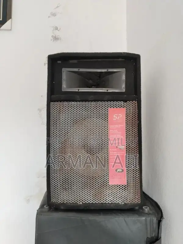 Pear P Audio Speaker for Events and Venues