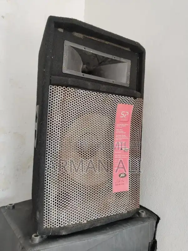 Pear P Audio Speaker for Events and Venues