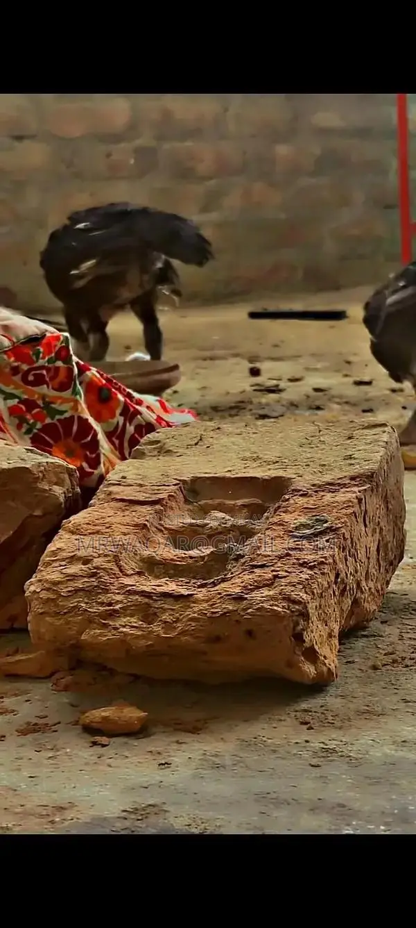 Aseel High-Quality Textile Fabric Roll - Premium Soft Textile for Craf