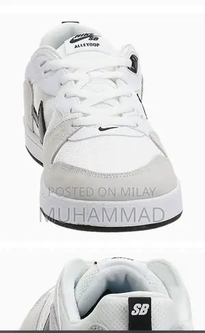 Nike SB Skateboarding Shoes - Size 45 European Fit